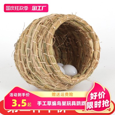 当下网购热宠 宠物用品的爆红密码与未来趋势
