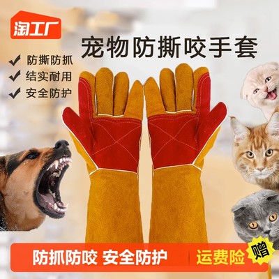 当下网购最流行的宠物用品 从智能科技到个性化定制