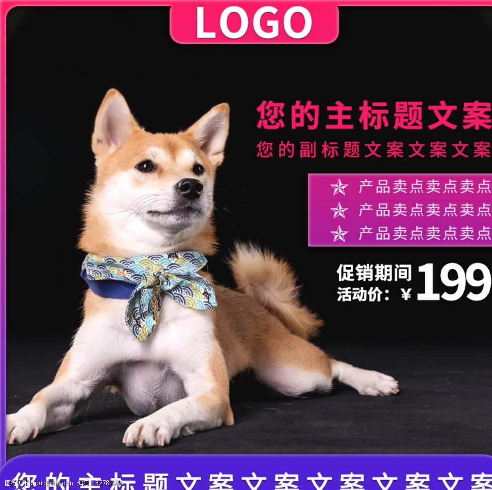 宠物用品市场 人与动物共享的品质生活新篇章