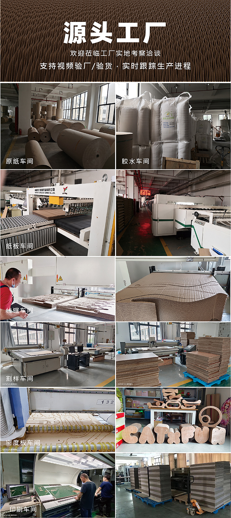 唤醒东方神韵，乐卡国潮醒狮猫抓板——致敬传统，宠爱新生